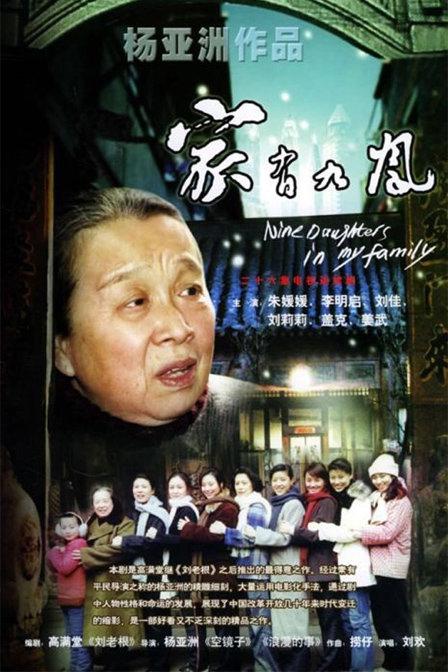 剧情片《家有九凤》（2005）