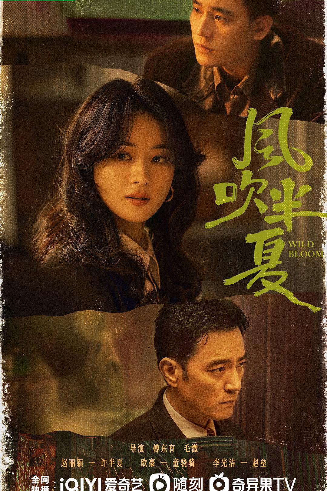 爱情片《风吹半夏》（2022）